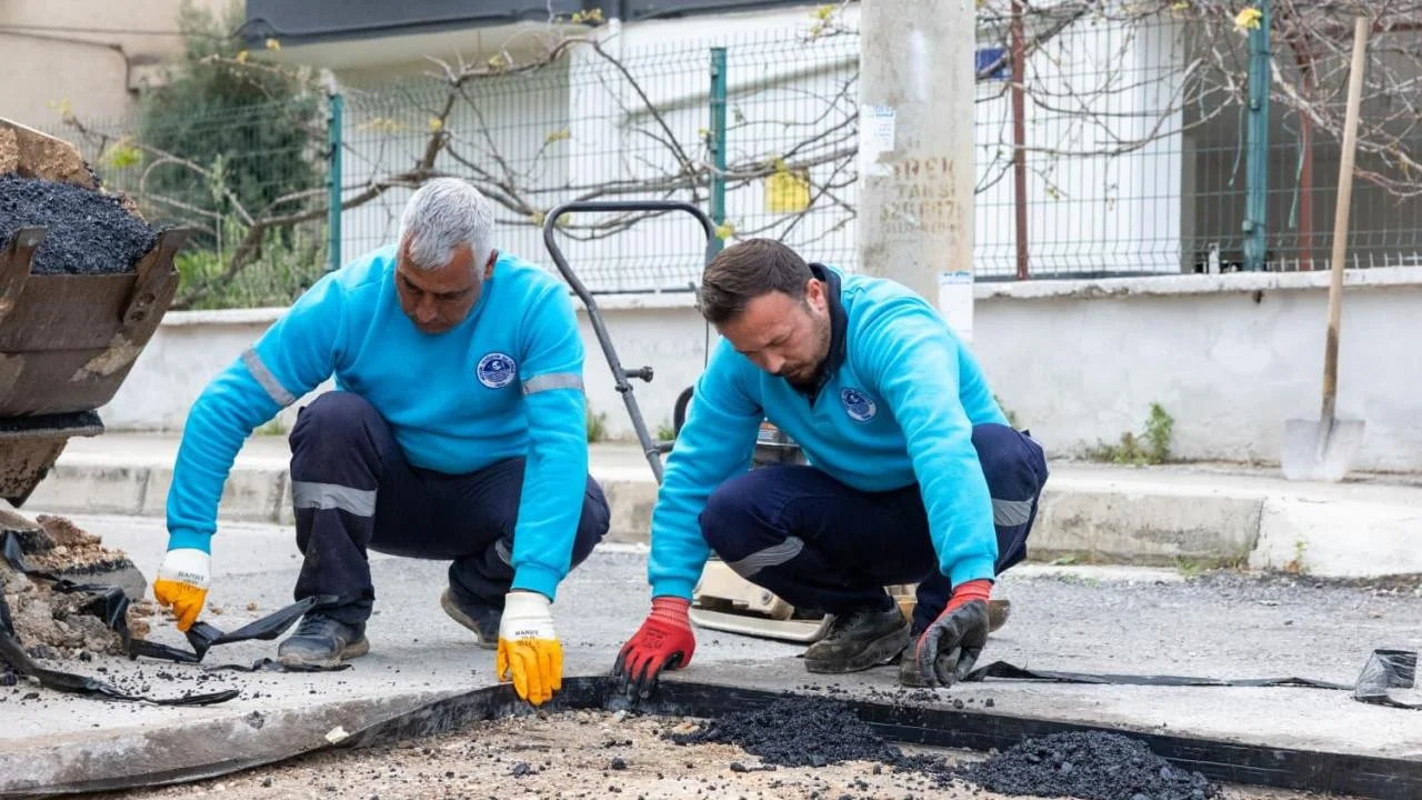 Yenişehir, Türkiye'ye yol gösteriyor